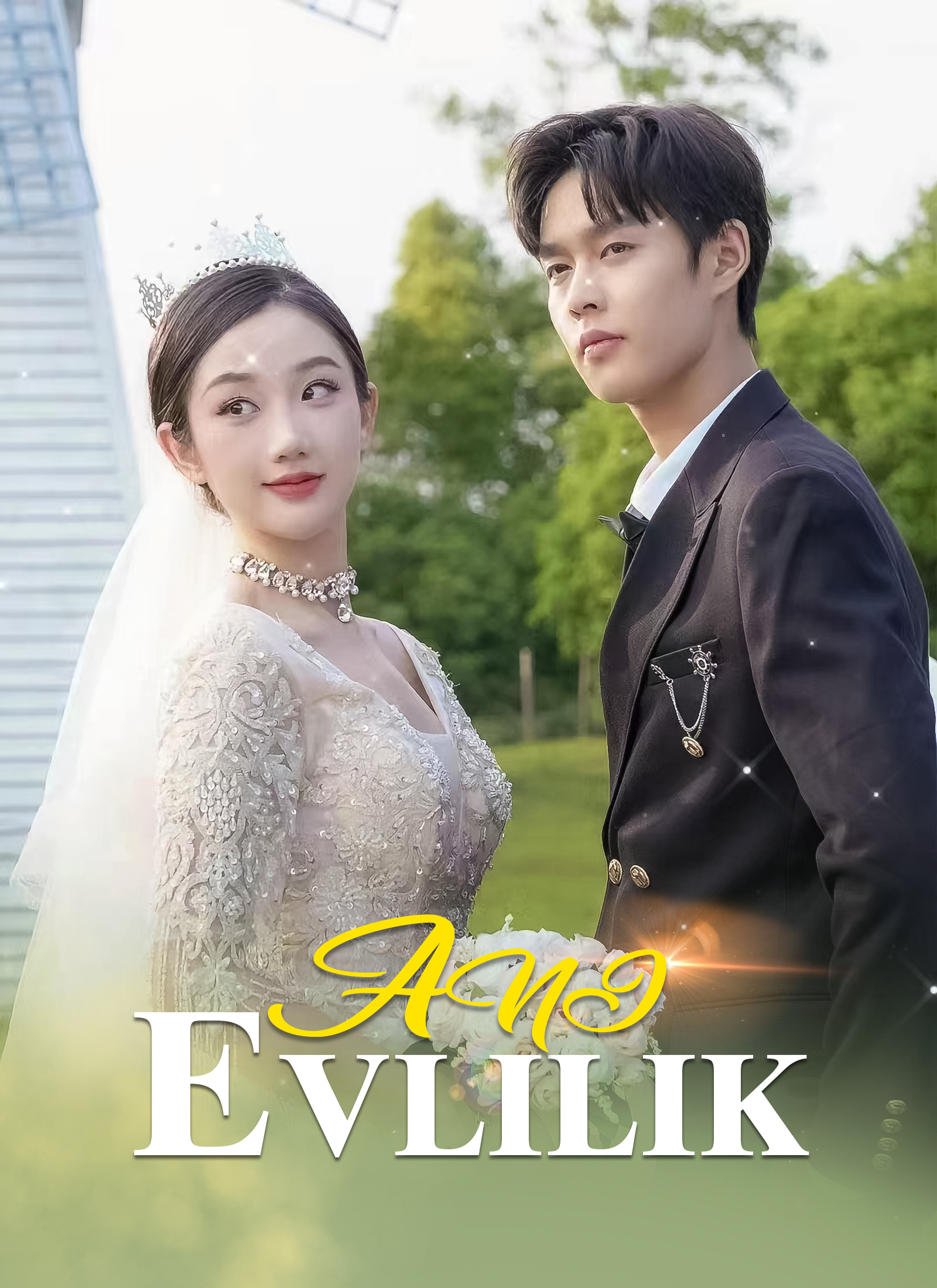 Ani Evlilik poster