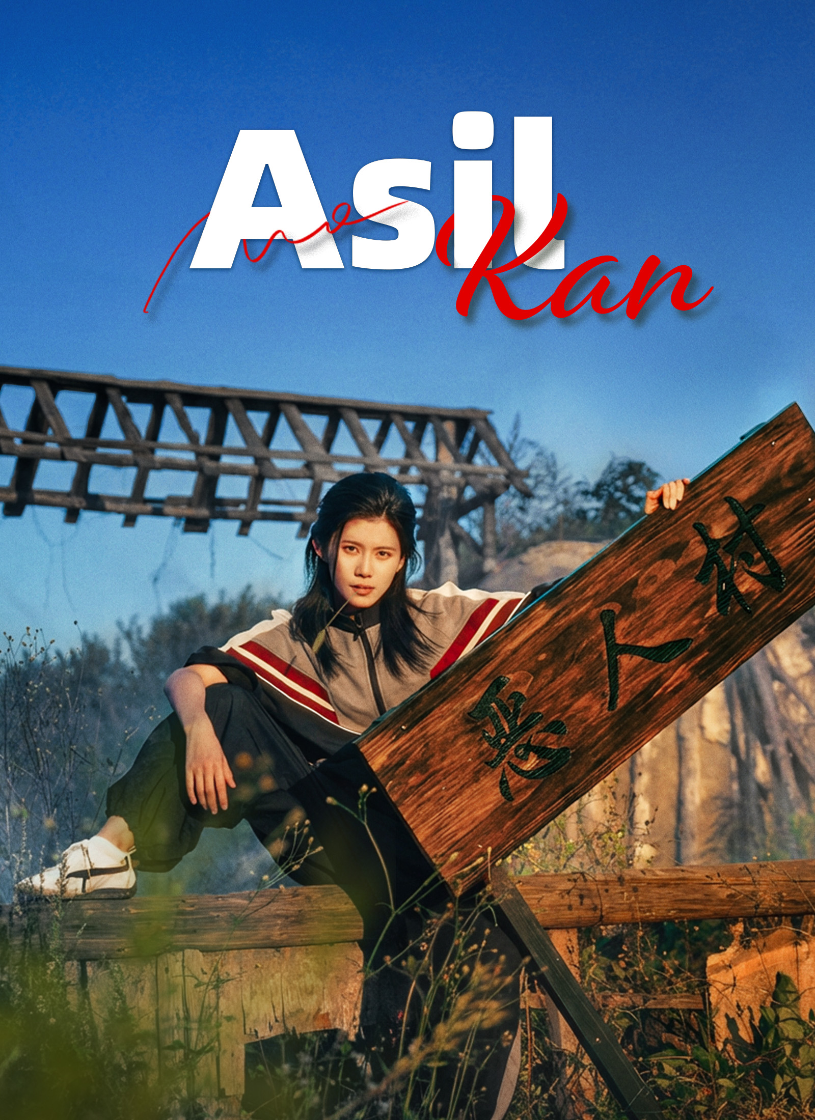 Asil Kan poster