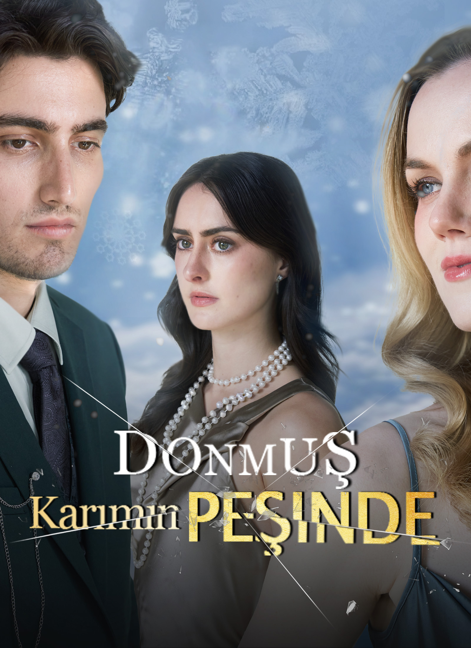Donmuş Karımın Peşinde poster