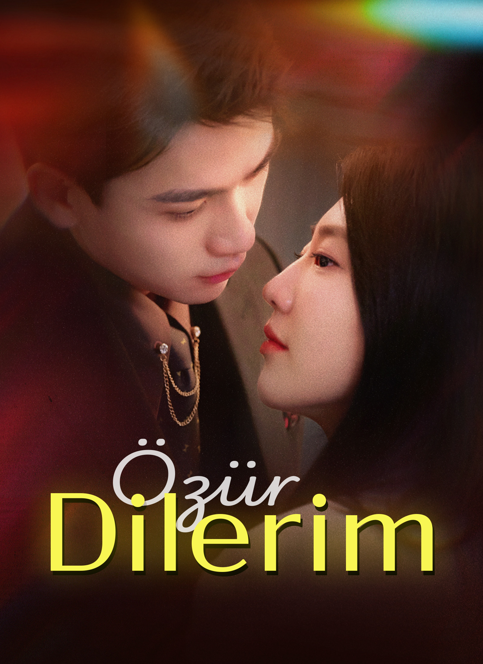 Özür Dilerim poster