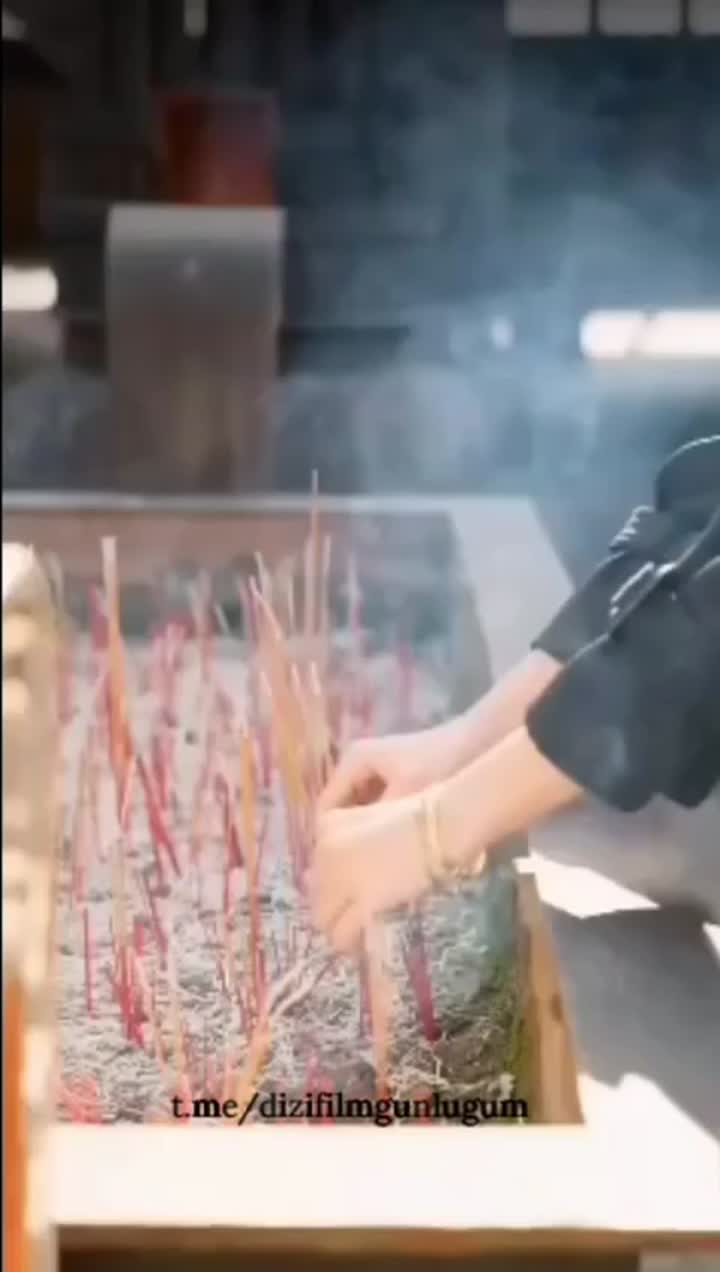 Okul Güzeli Ve Çılgın Koruması Tüm Bölümler poster